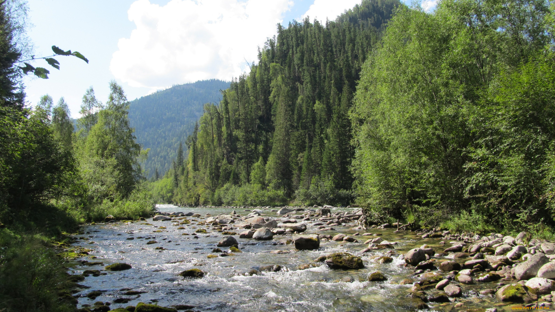 река, природа, реки, озера, горы, лес, сибирь