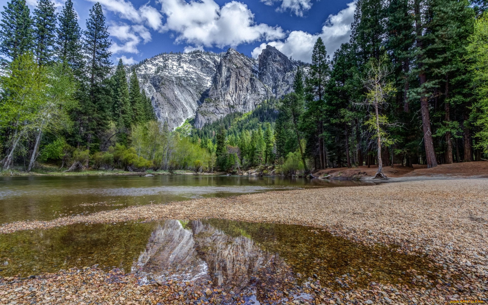 природа, реки, озера, лес, горы, река