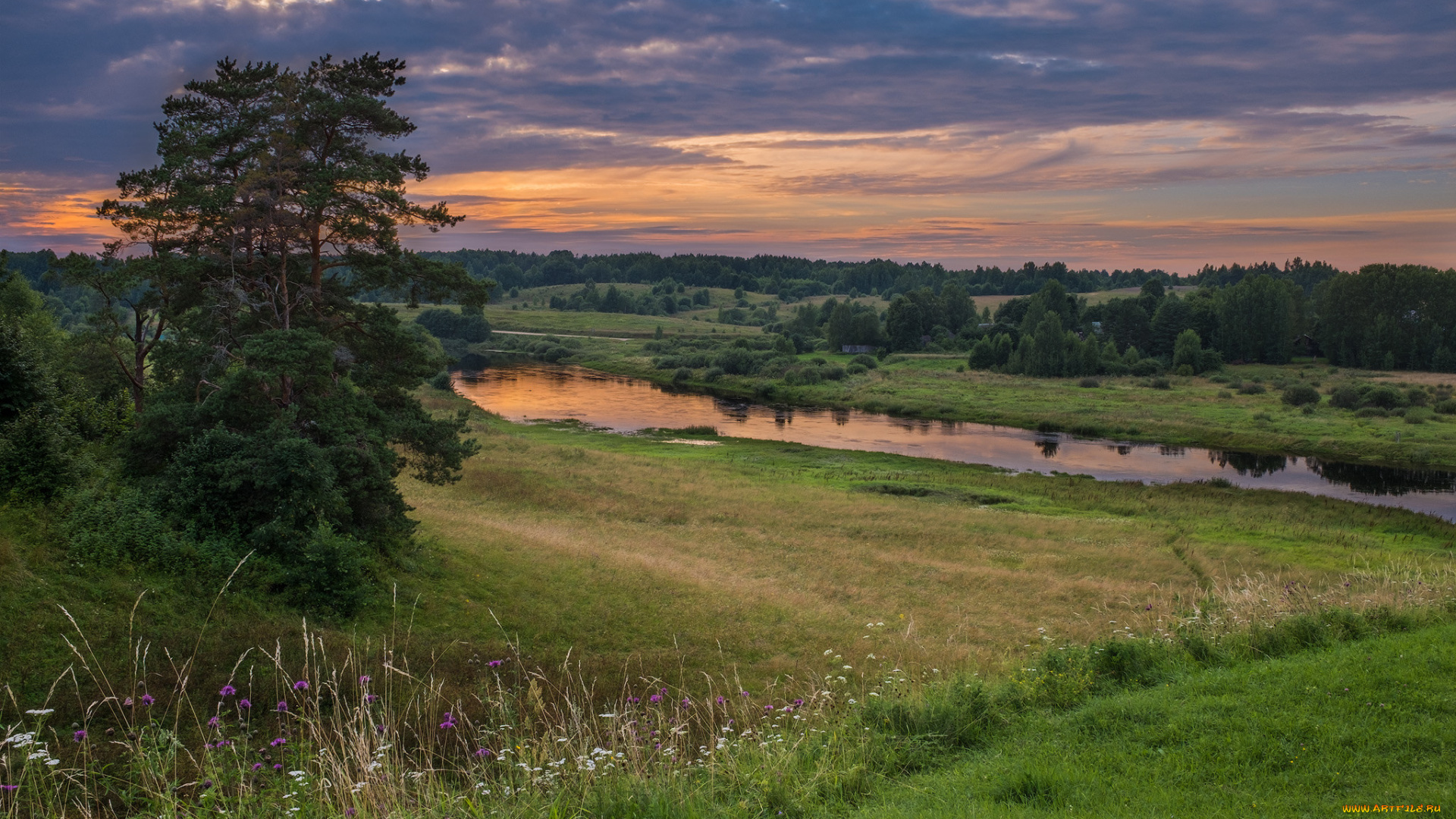 природа, пейзажи, простор