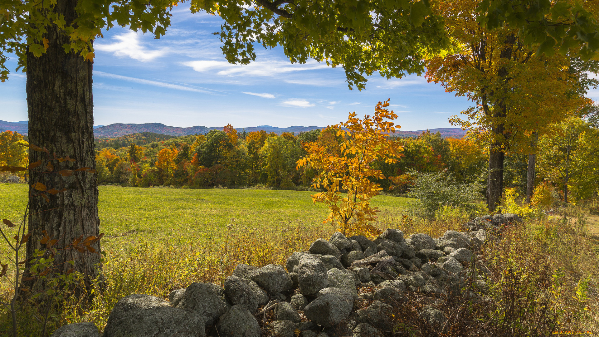 природа, пейзажи, простор
