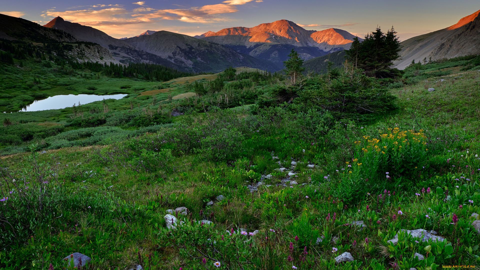 природа, пейзажи, простор