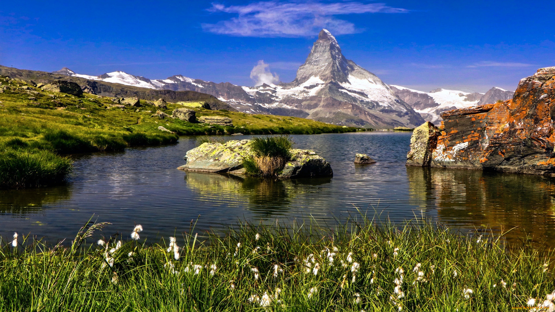 природа, реки, озера, лес, река