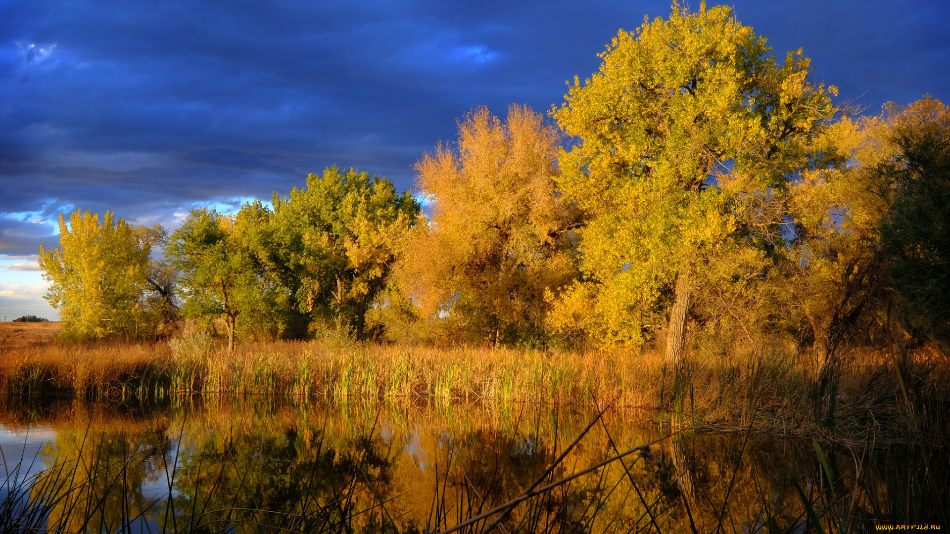 природа, реки, озера, простор