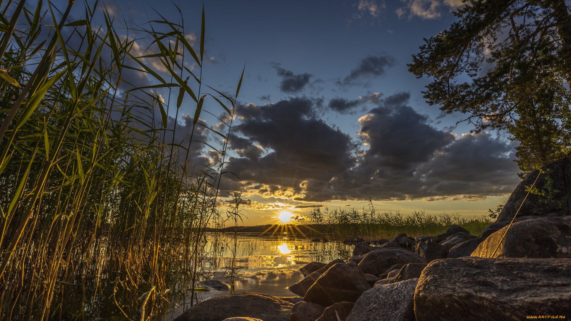 природа, реки, озера, простор