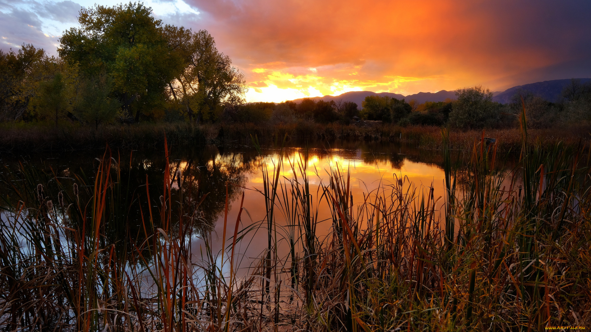 природа, реки, озера, простор