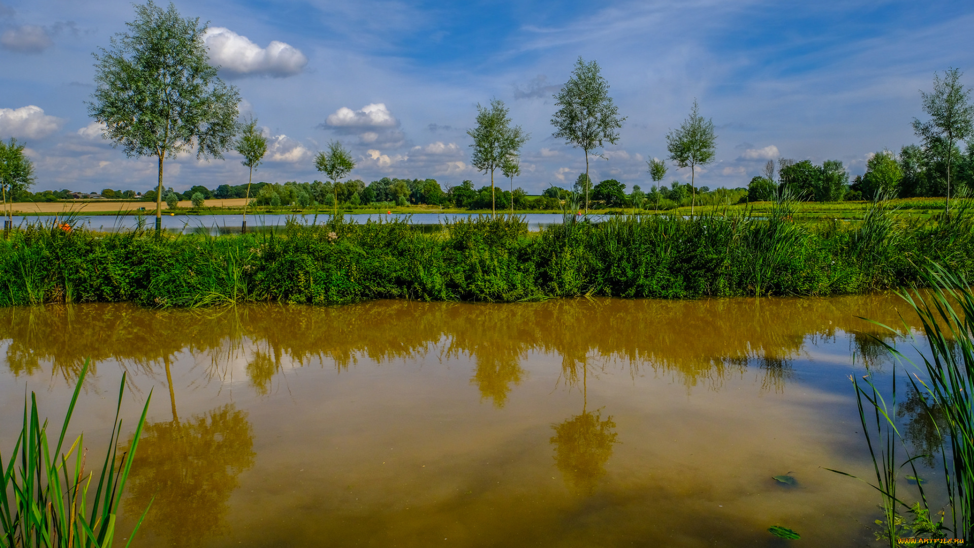 природа, реки, озера, простор