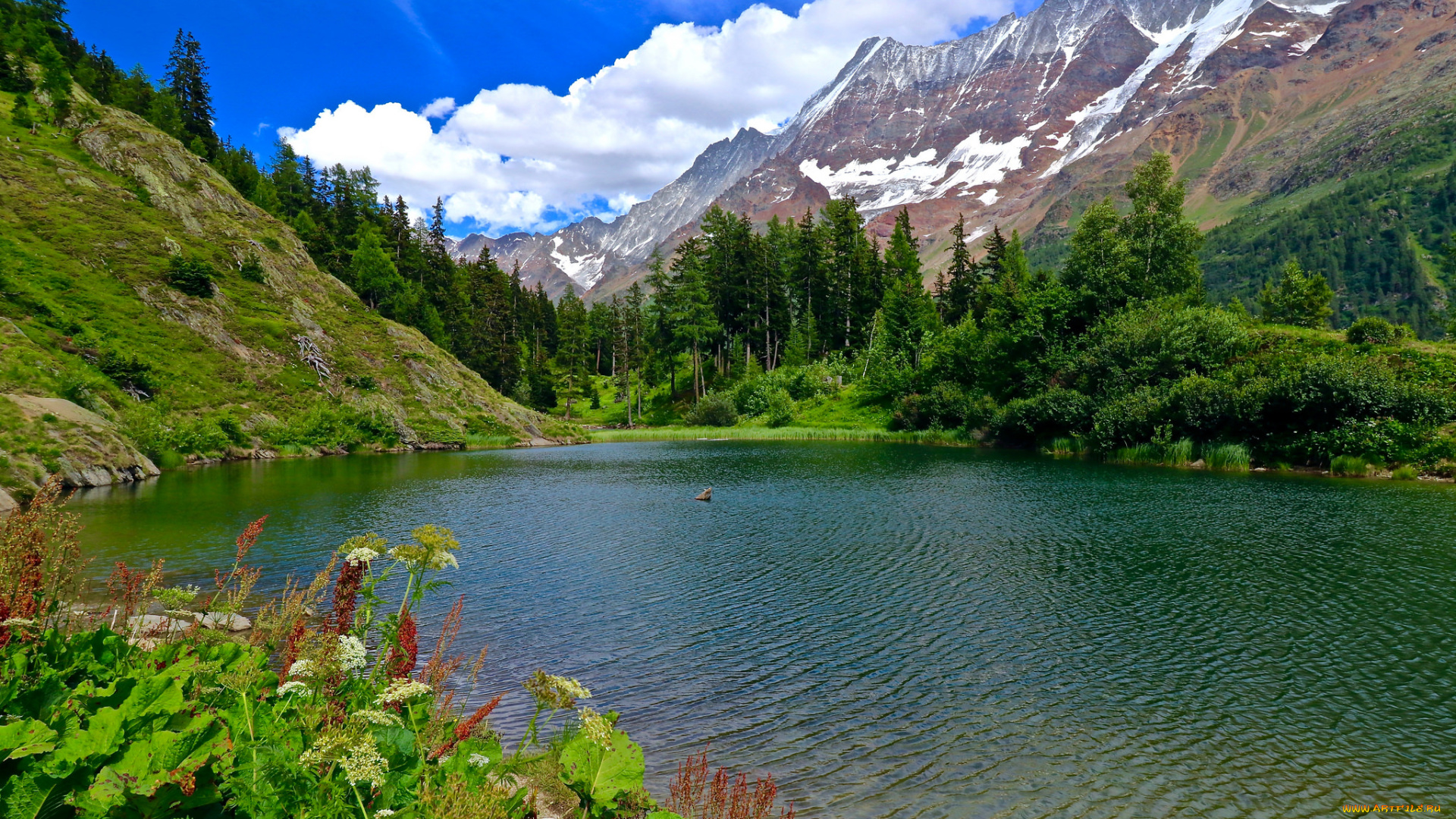 природа, реки, озера, простор