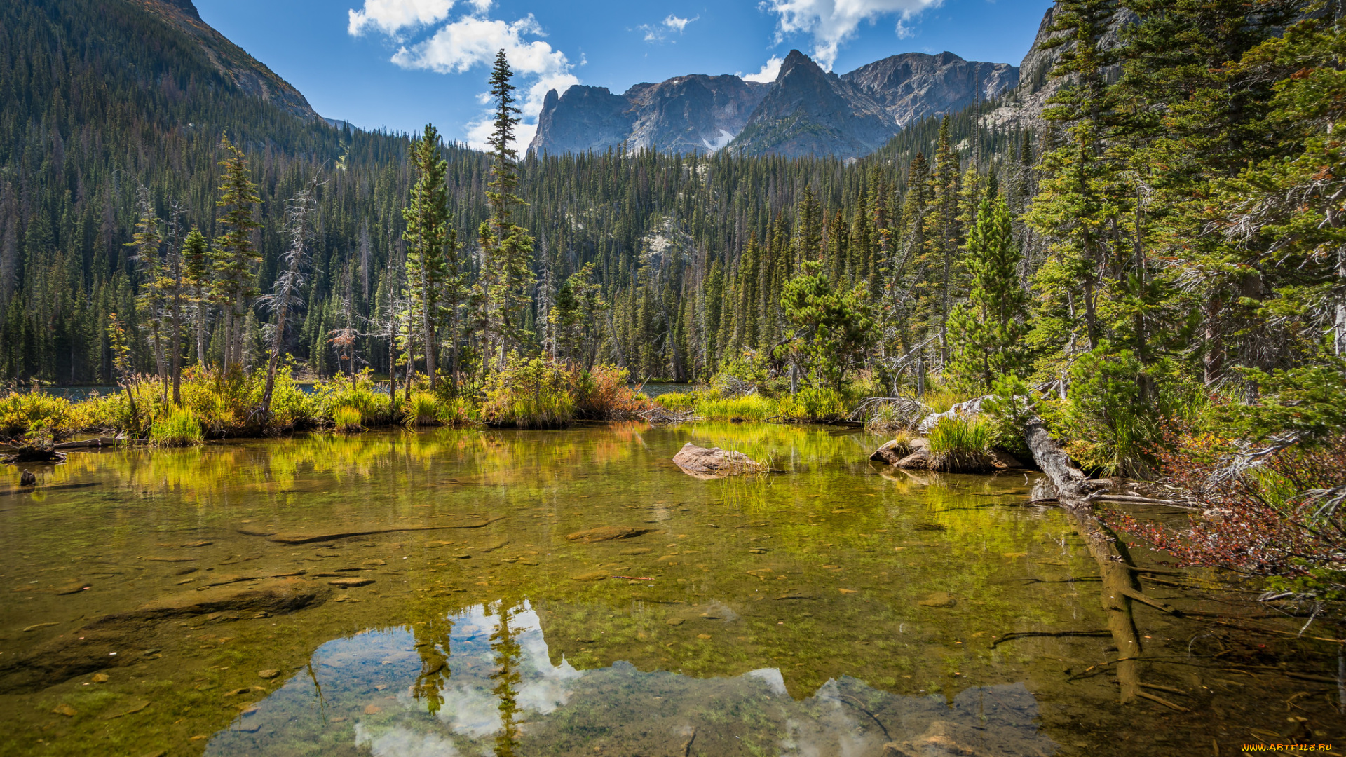 природа, реки, озера, простор