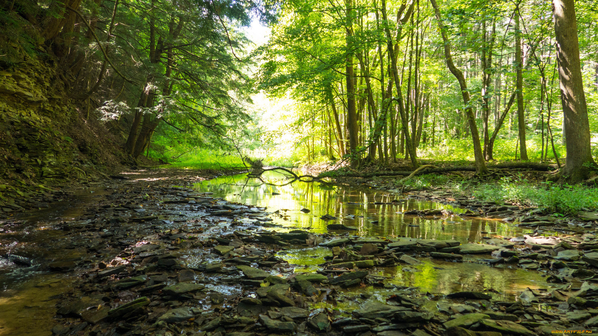 природа, реки, озера, простор