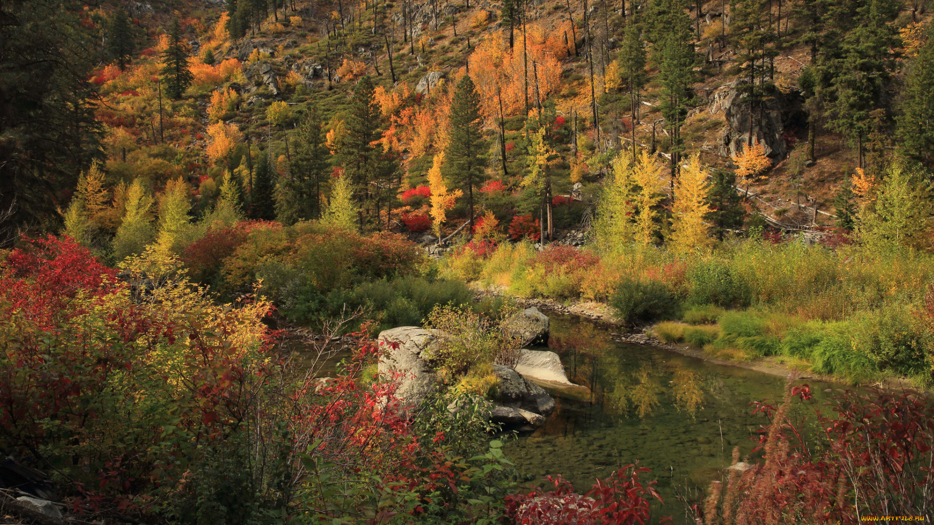 природа, реки, озера, простор