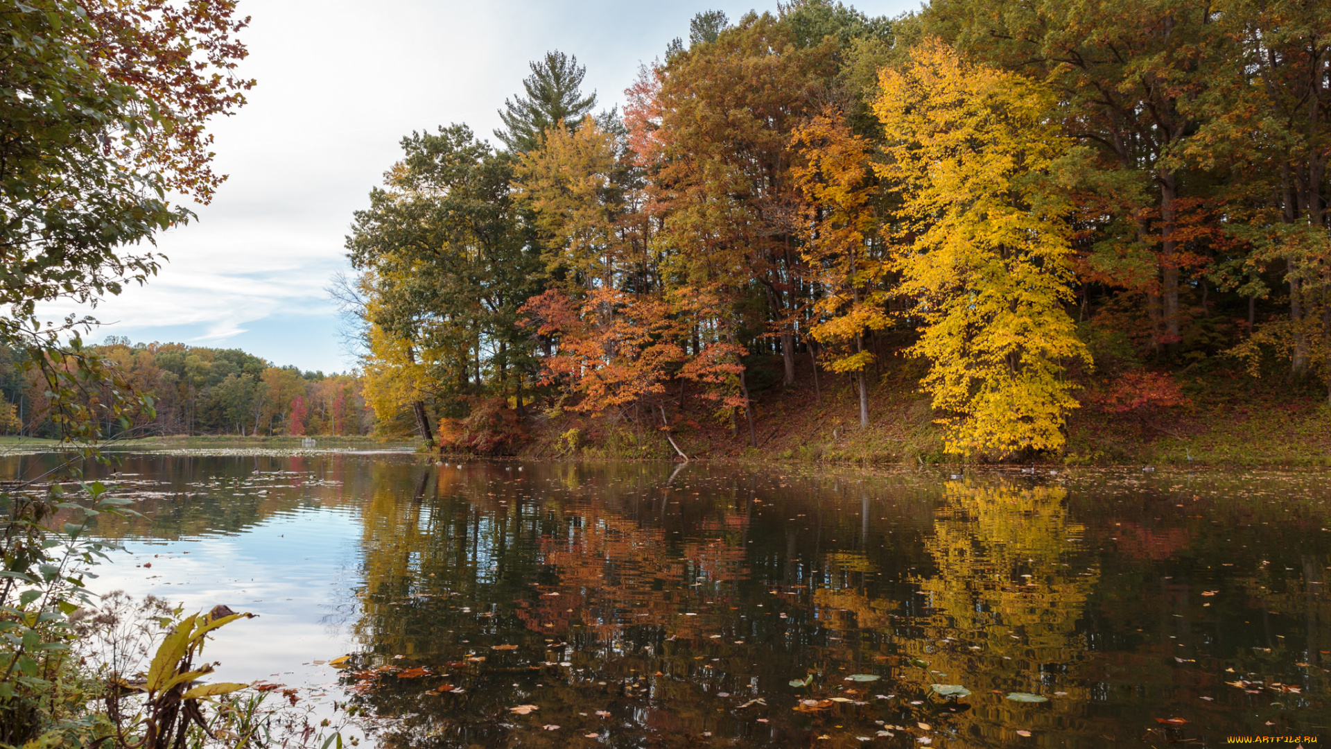 природа, реки, озера, простор