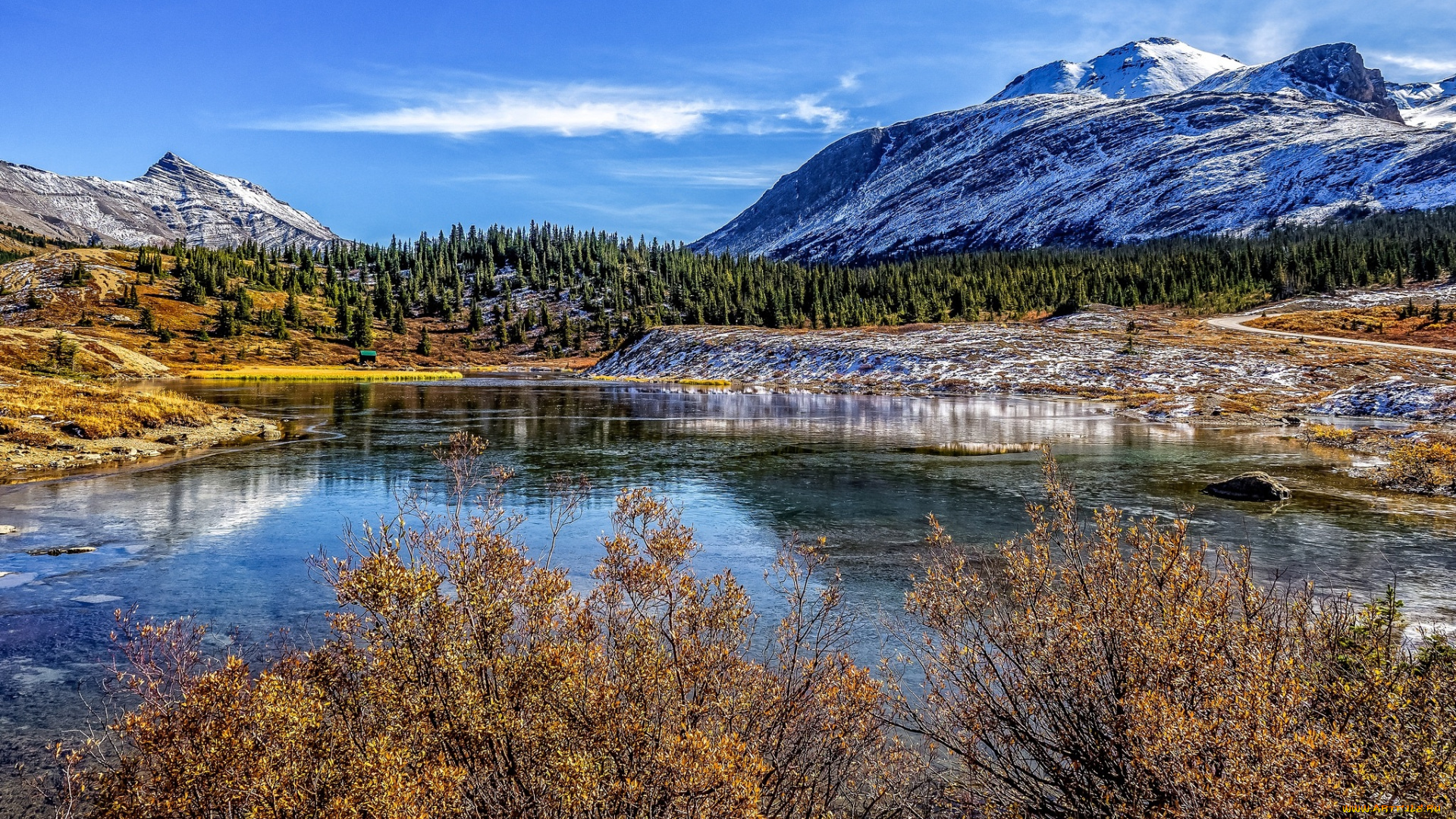 природа, реки, озера, река, лес