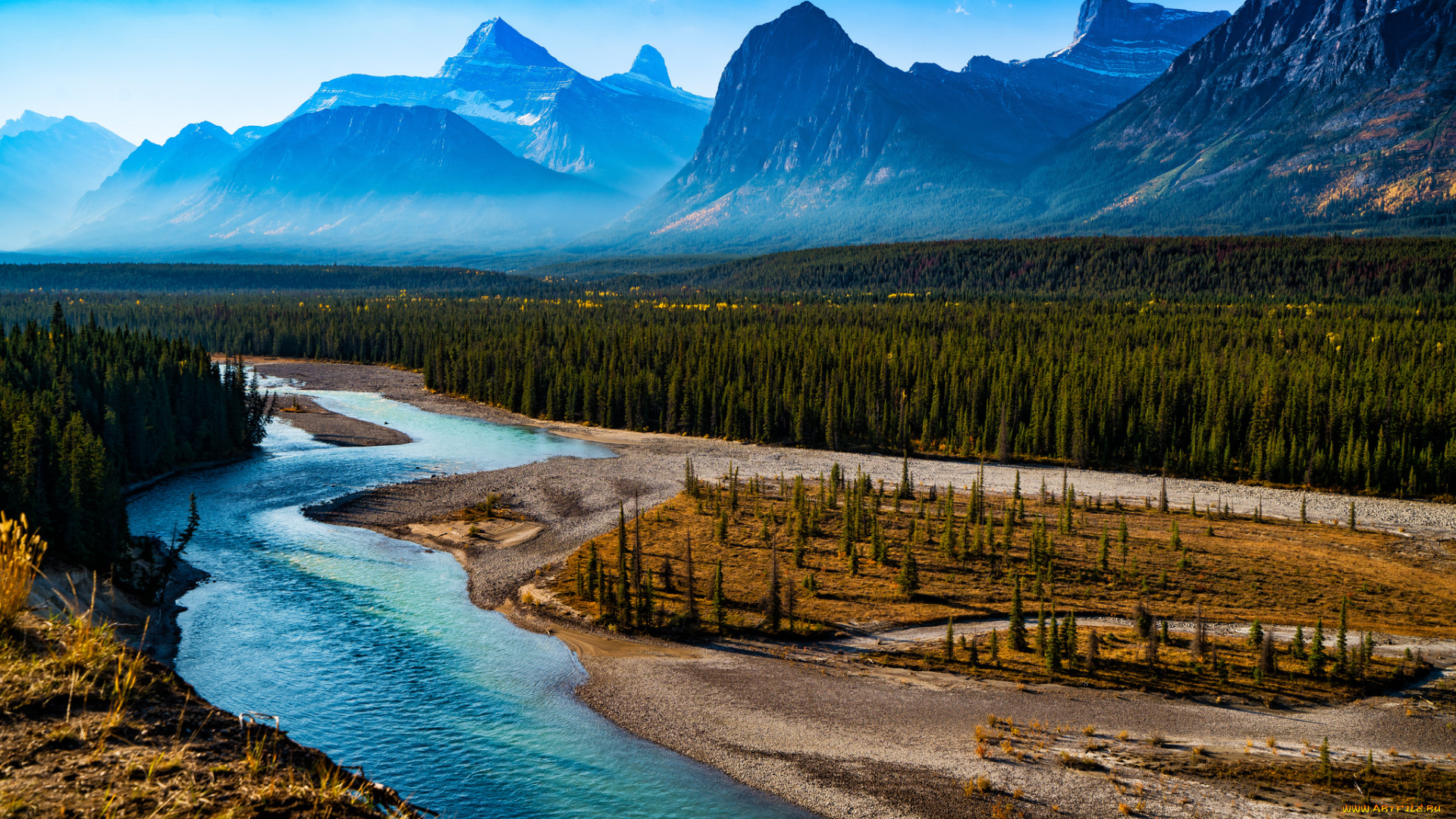 природа, реки, озера, река, лес