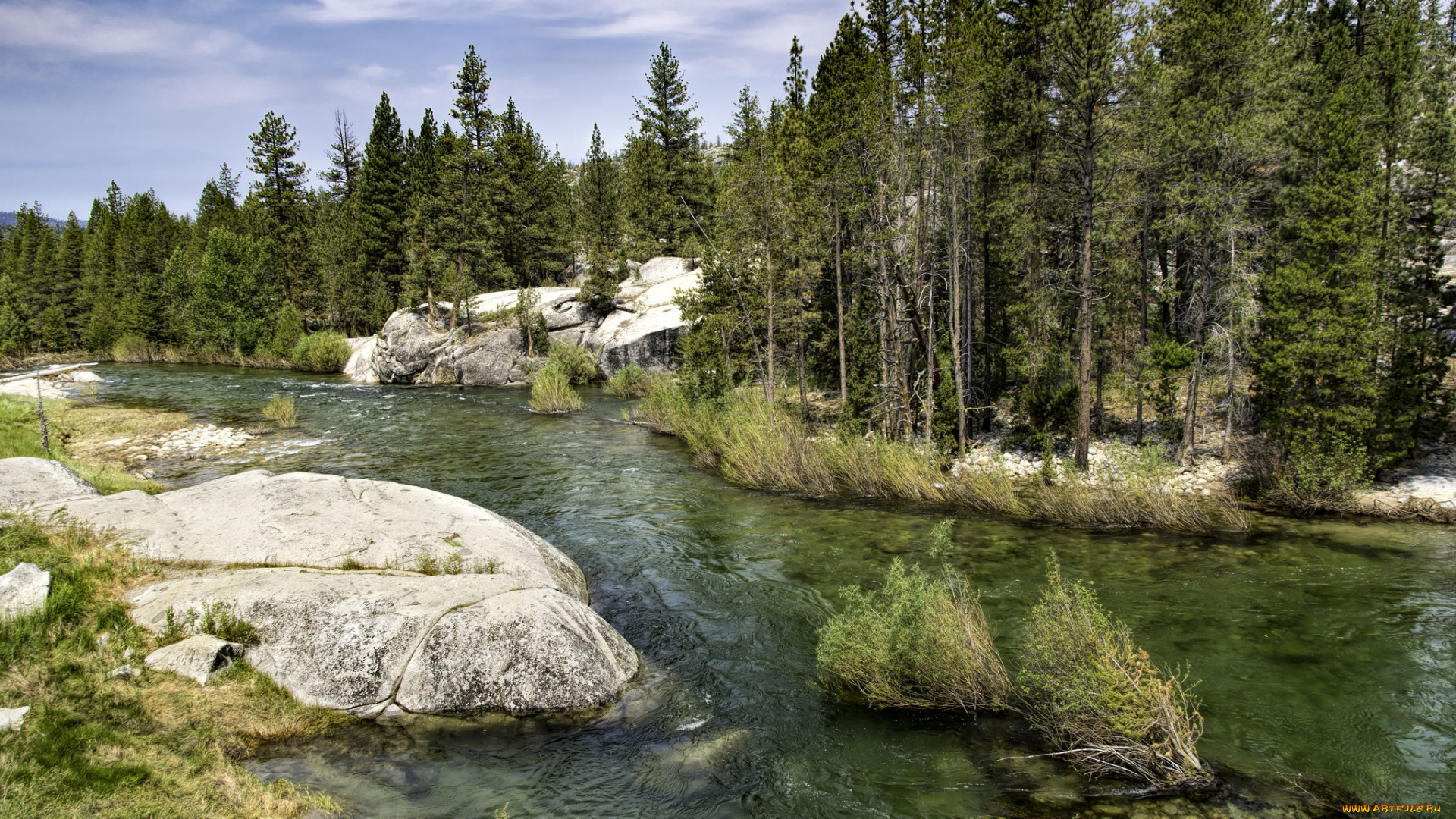 природа, реки, озера, река, лес