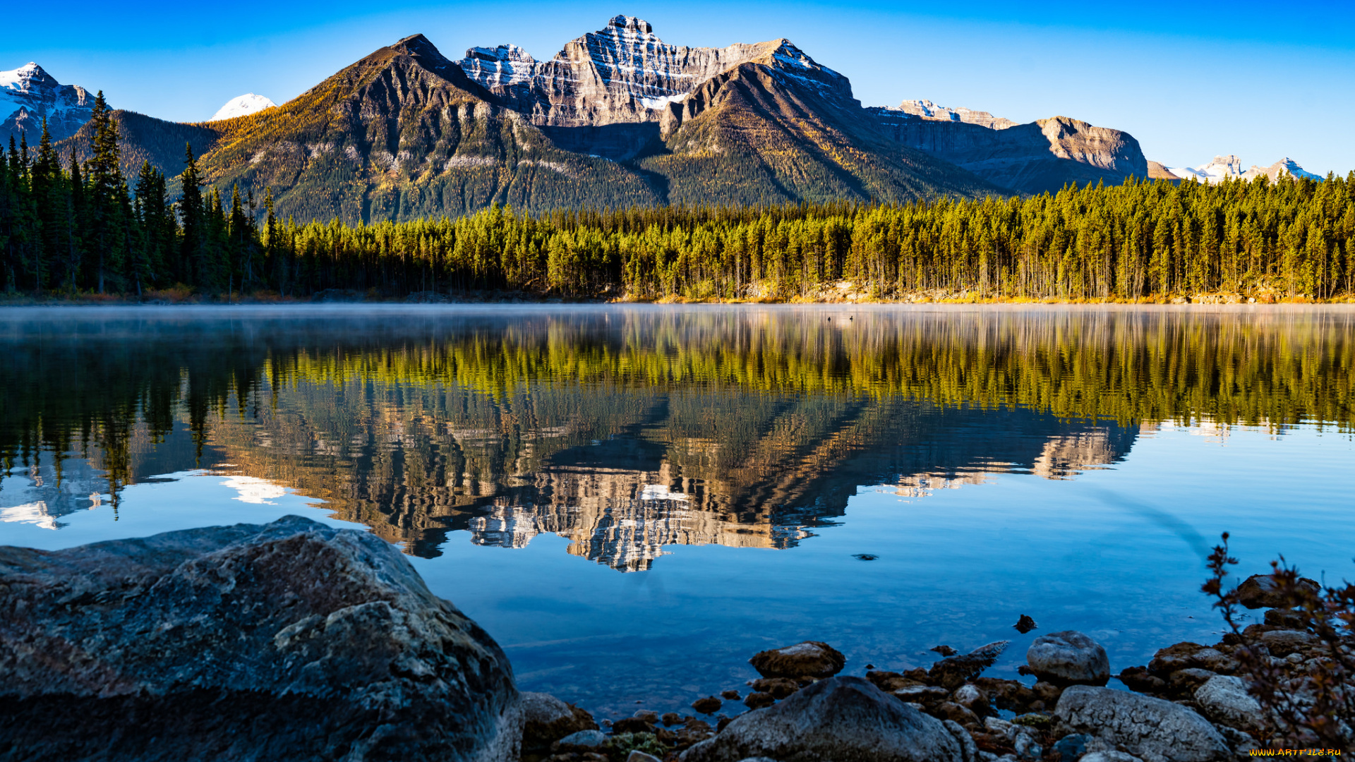 природа, реки, озера, река, лес