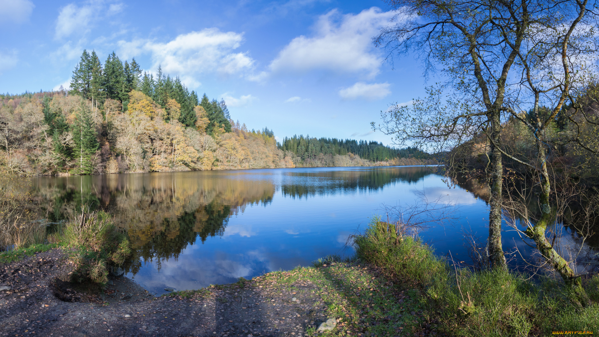 природа, реки, озера, река, лес