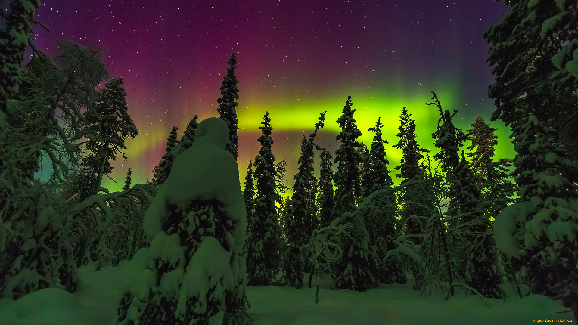 природа, северное, сияние, простор