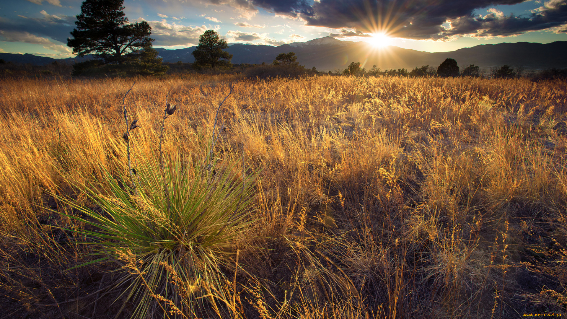 природа, восходы, закаты, река, лес