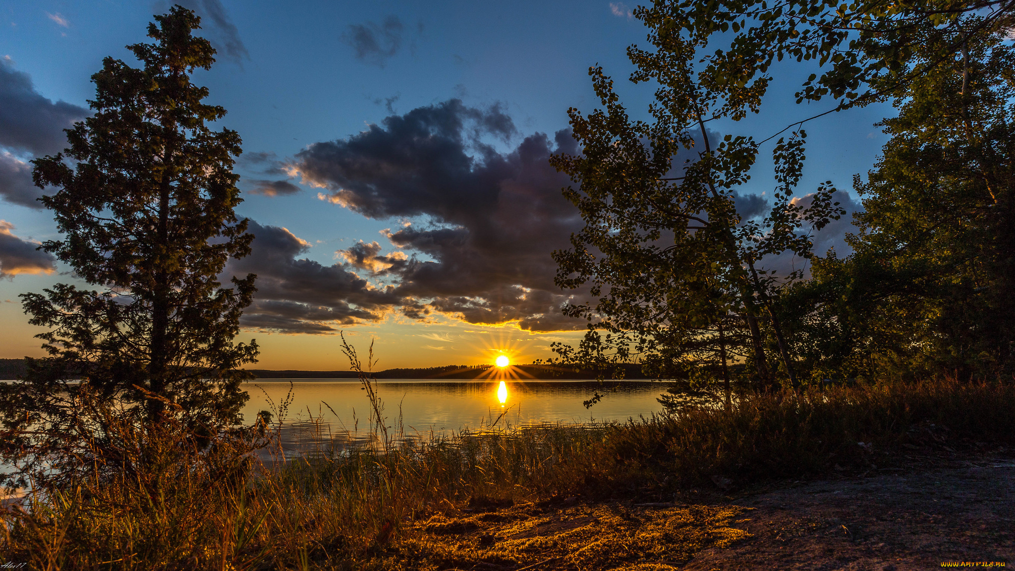 природа, реки, озера, лес, река