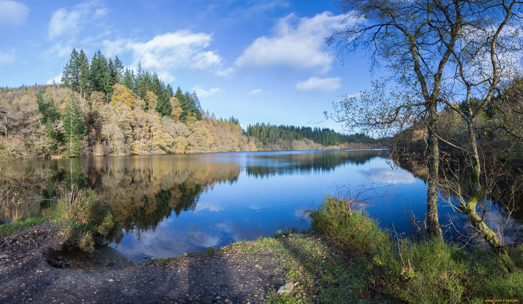 природа, реки, озера, река, лес