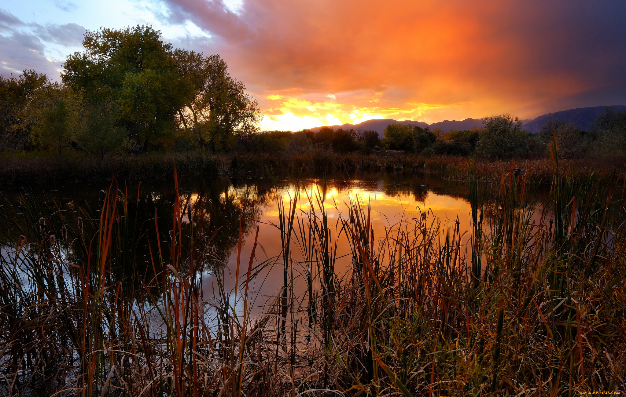 природа, реки, озера, простор