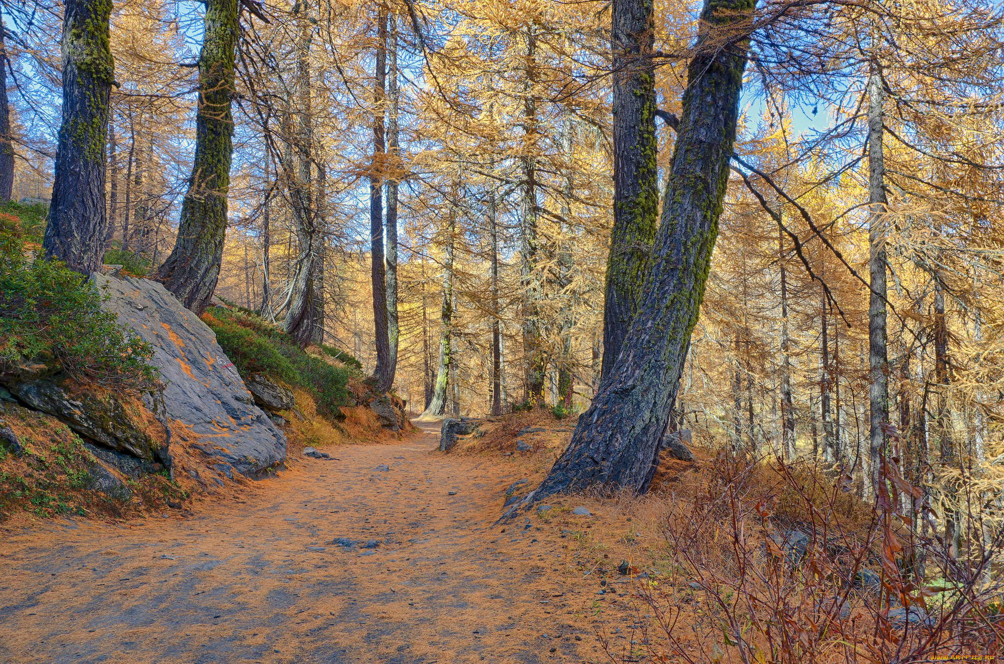 природа, дороги, простор