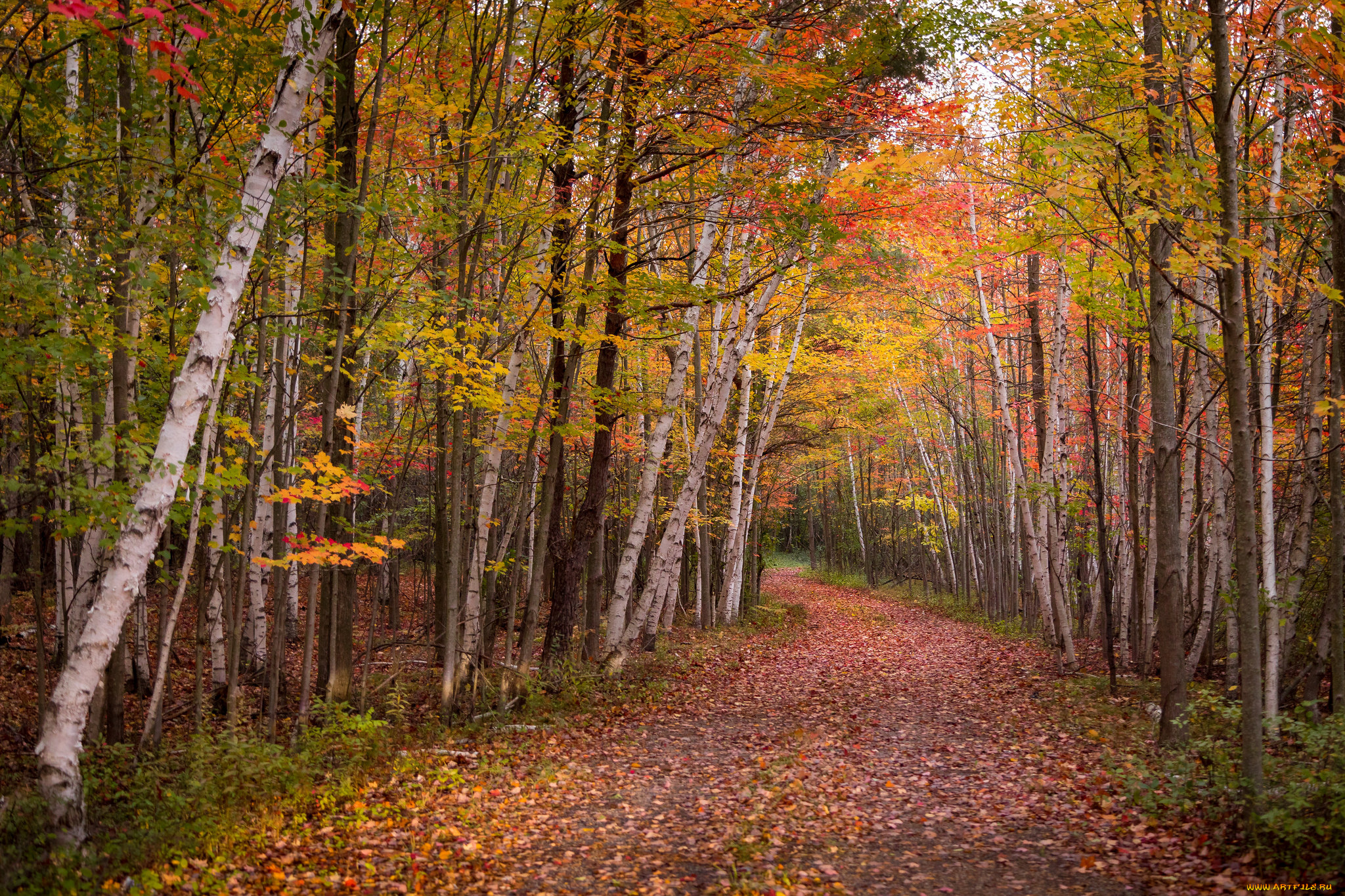 природа, дороги, простор
