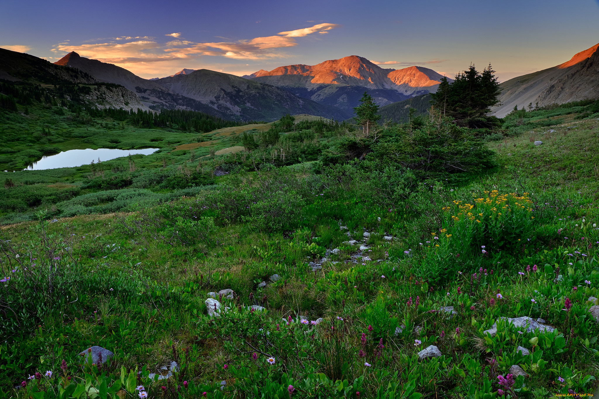 природа, пейзажи, простор