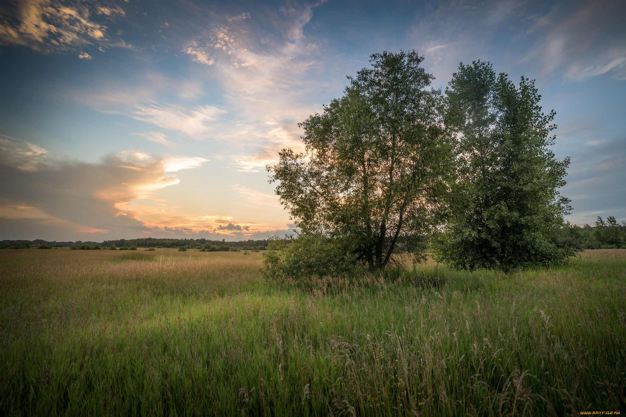природа, пейзажи, простор