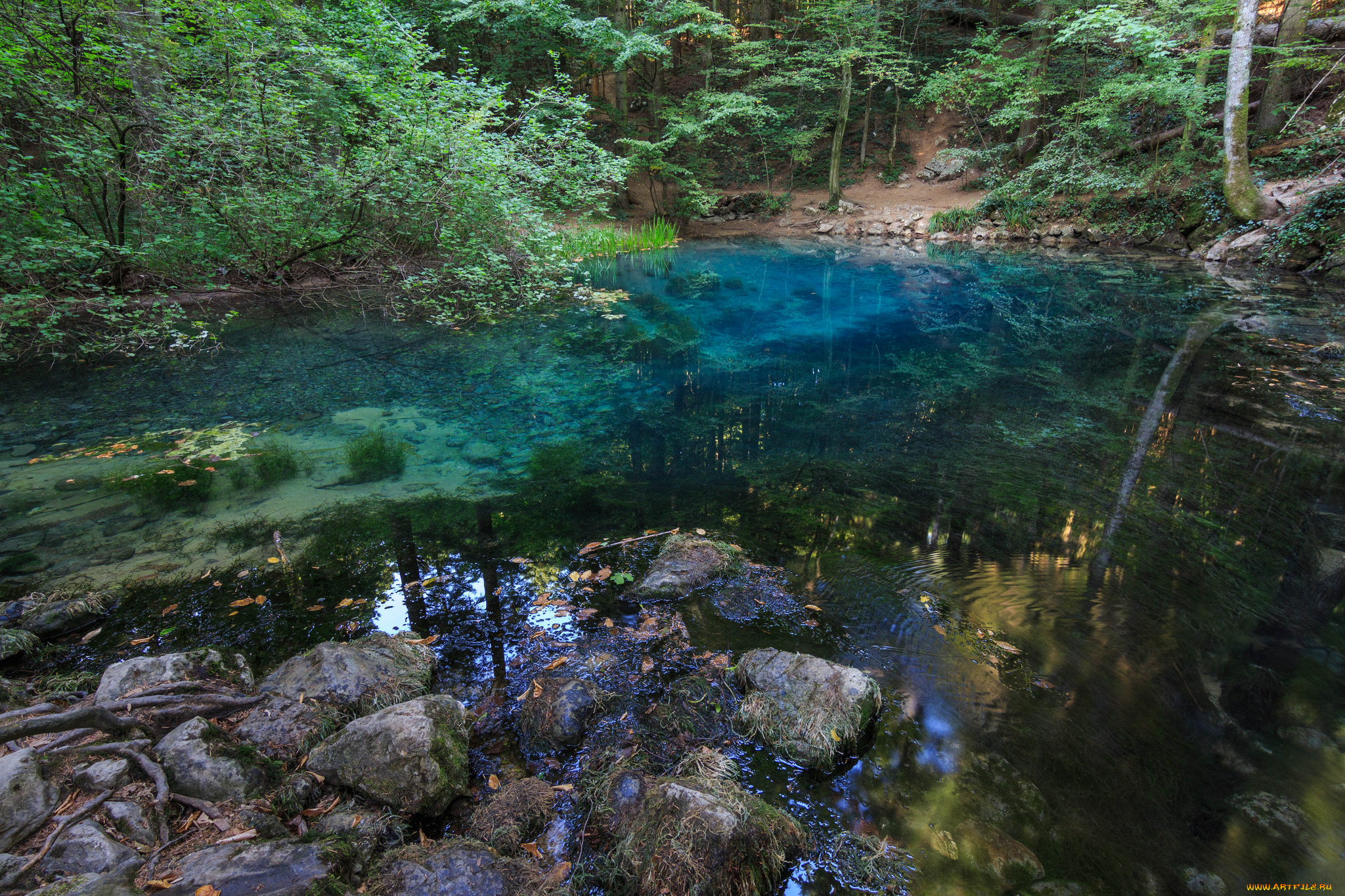 природа, реки, озера, простор