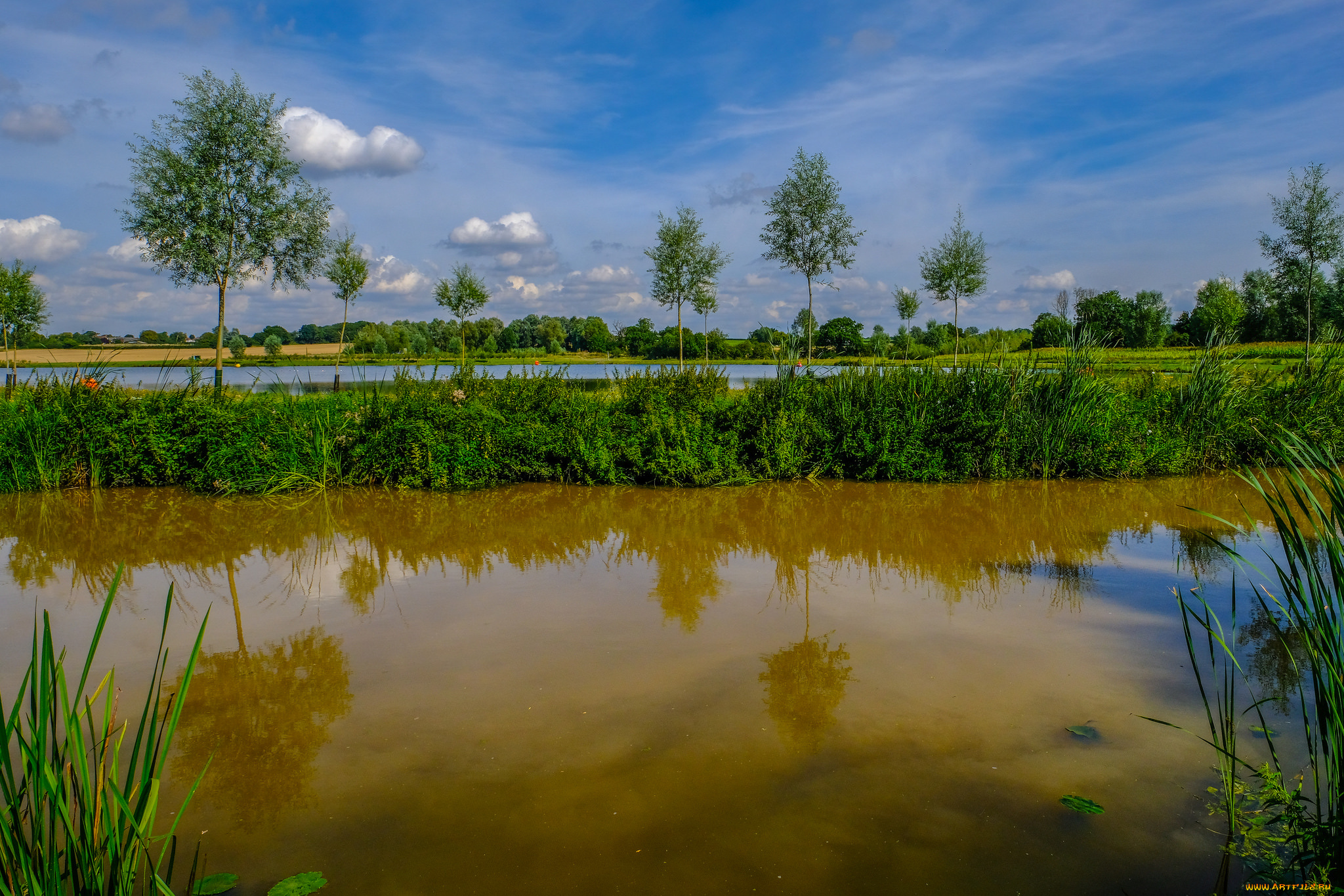 природа, реки, озера, простор