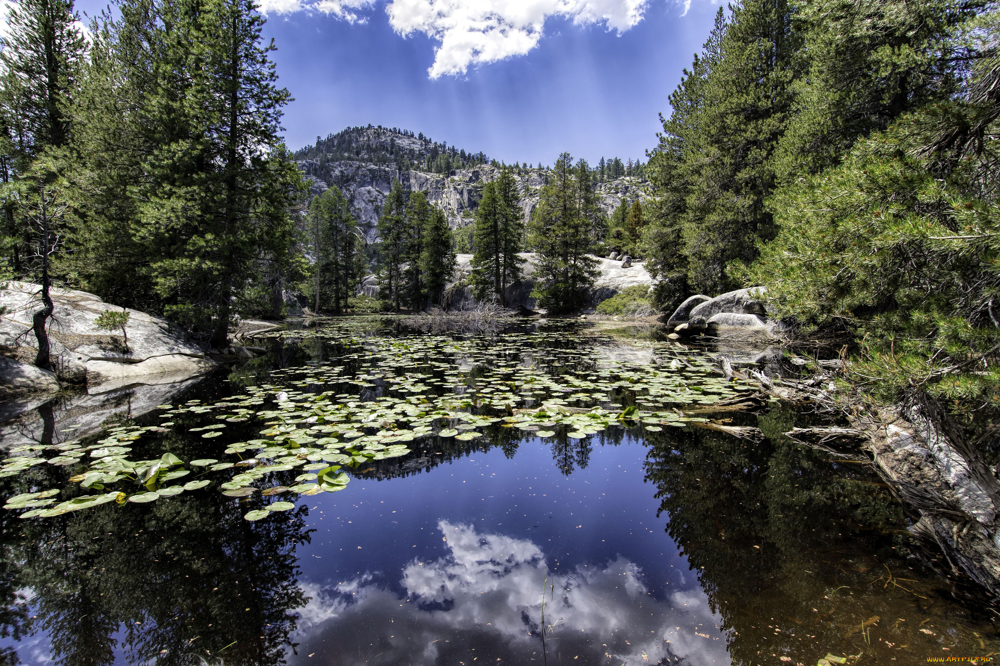 природа, реки, озера, простор