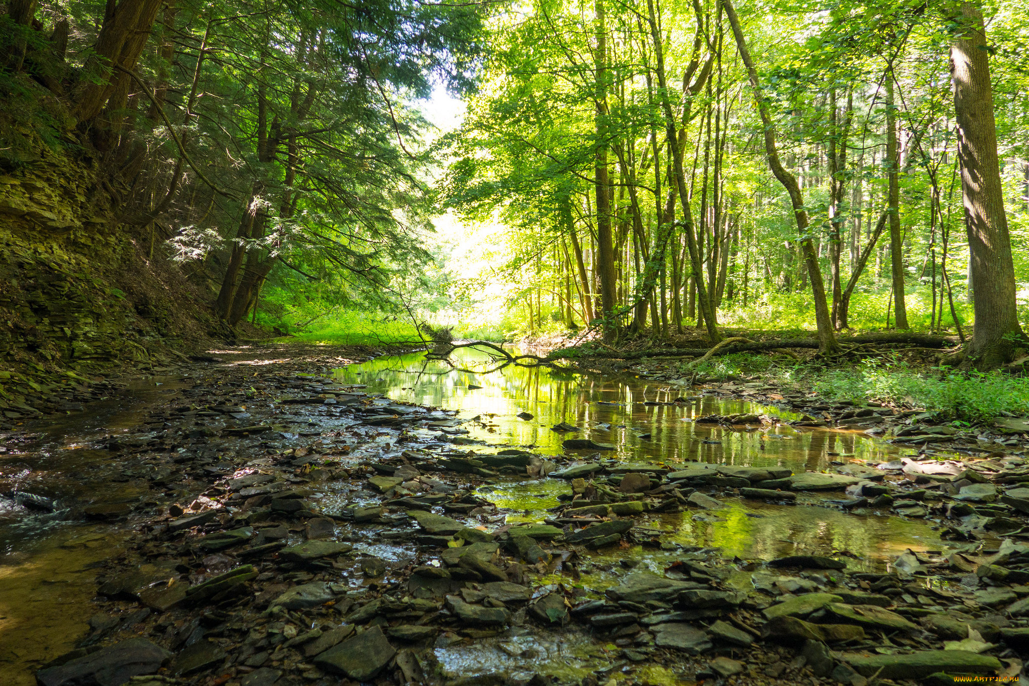 природа, реки, озера, простор