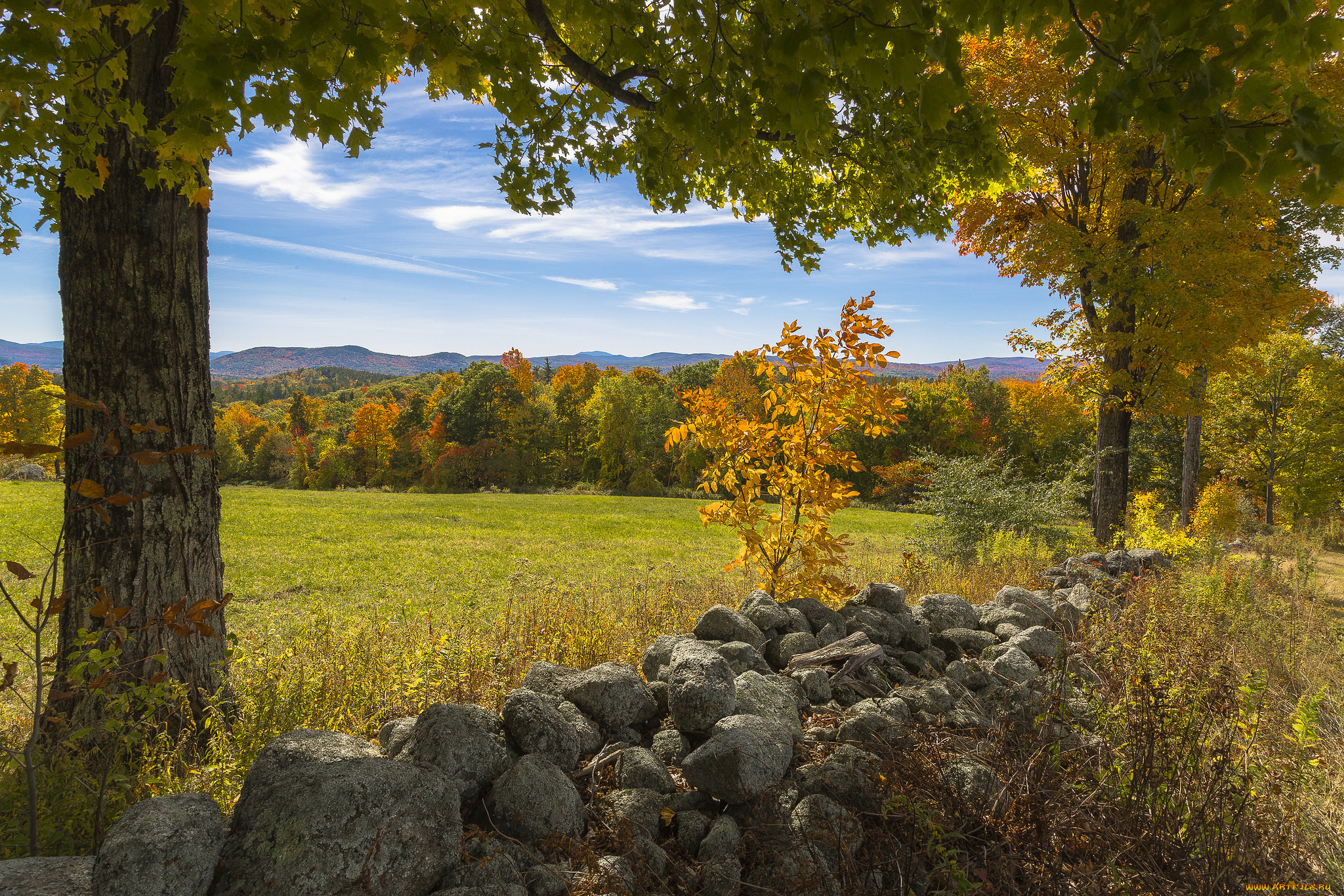 природа, пейзажи, простор