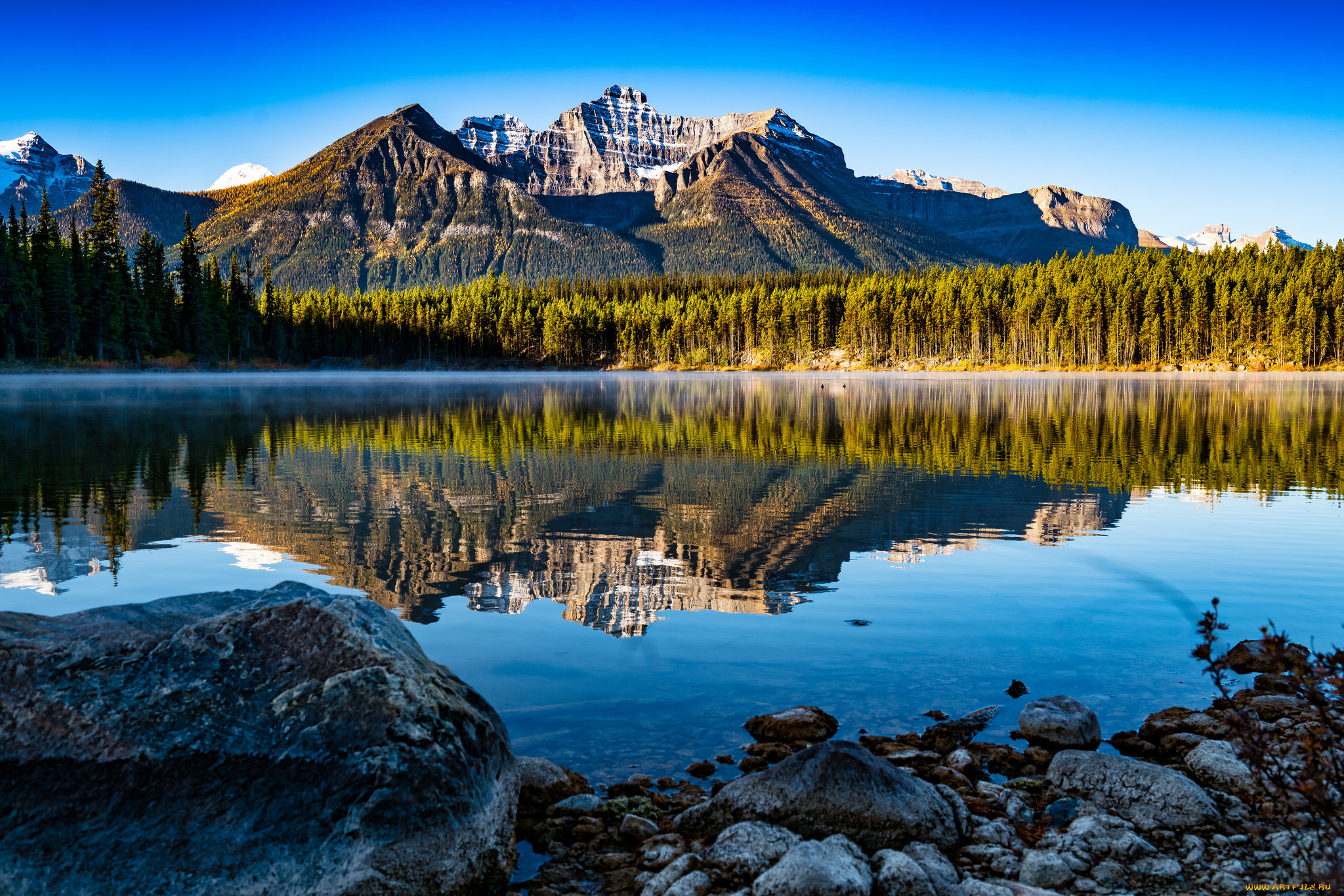 природа, реки, озера, река, лес