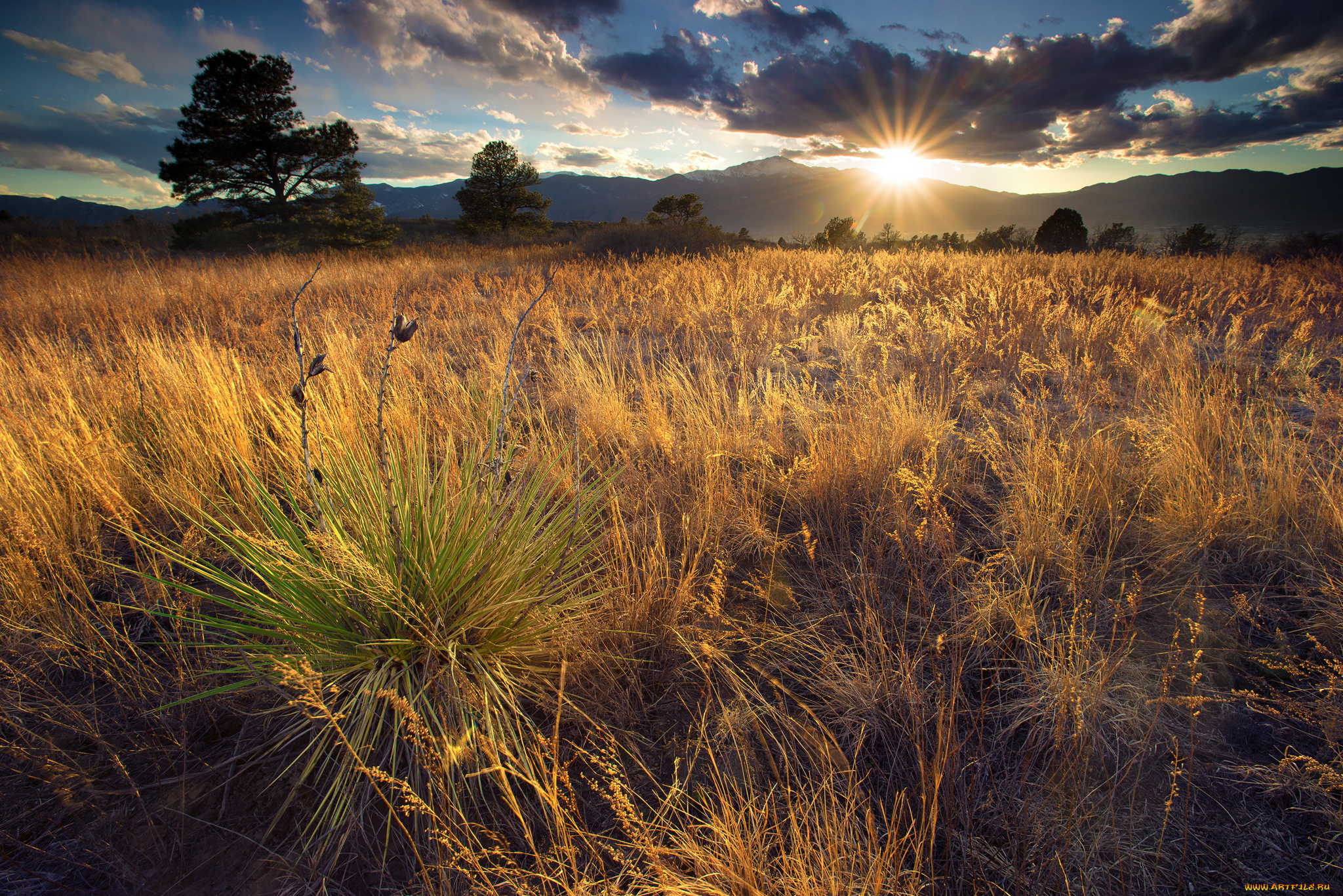 природа, восходы, закаты, река, лес