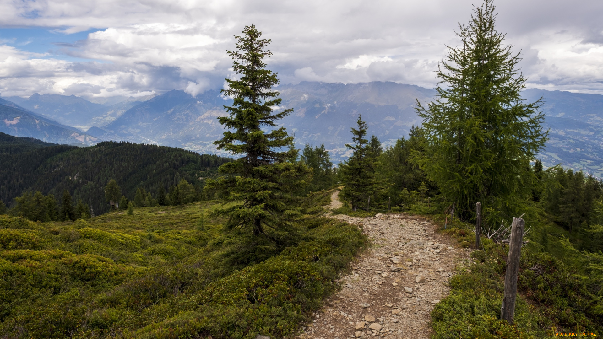 природа, пейзажи, тропинка, лоры, лес