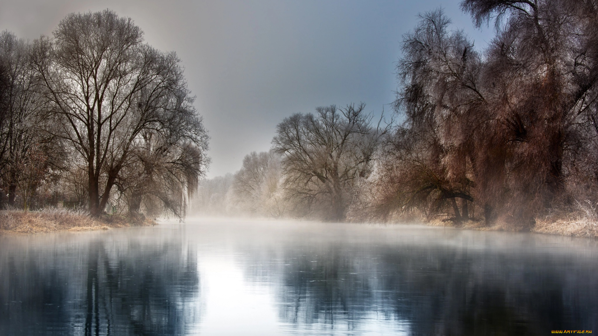 природа, реки, озера, robert, didierjean, мороз, река, отражение, туман, пейзаж, иней, деревья, зима