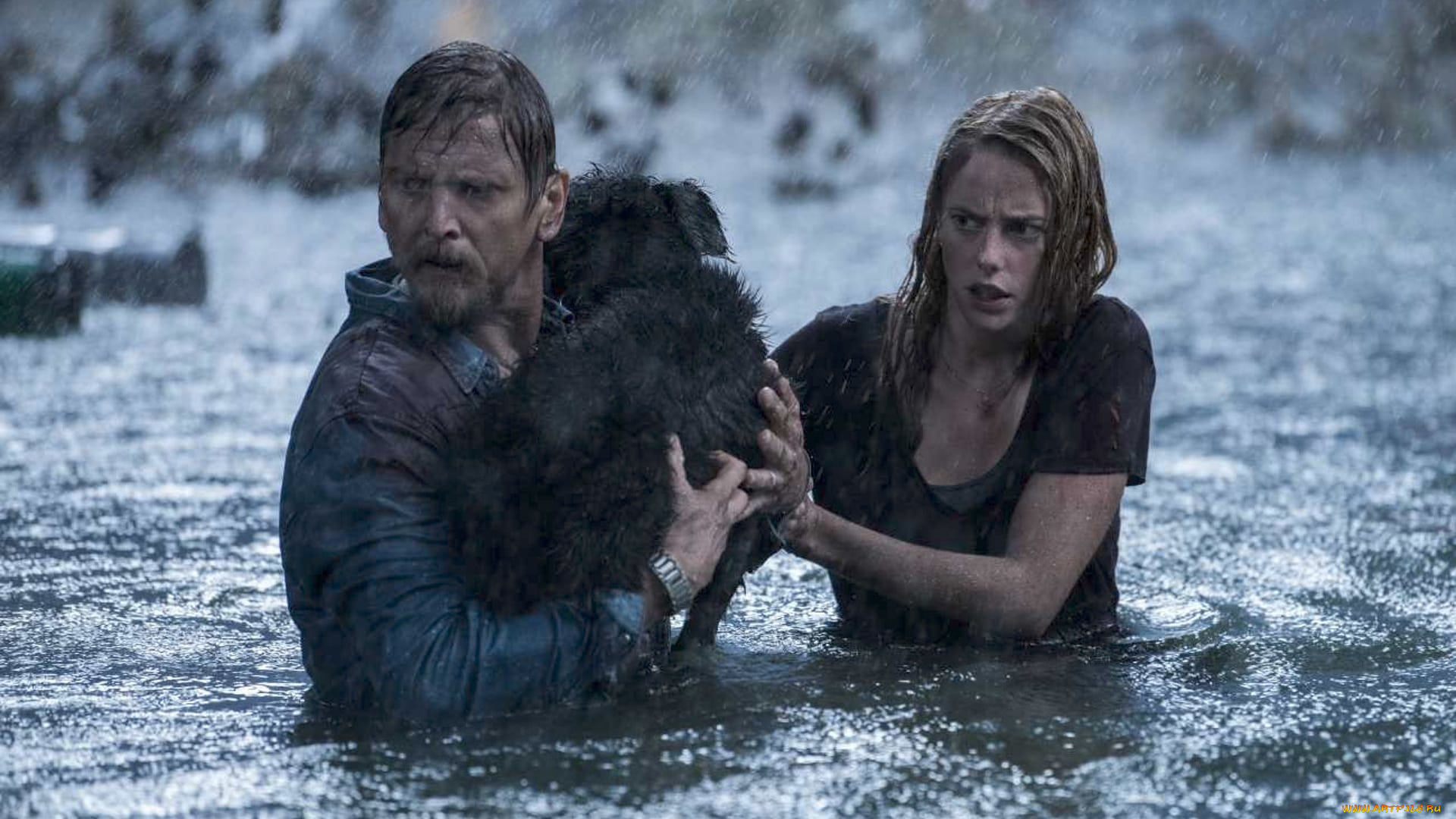 crawl, , 2019, кино, фильмы, -unknown, , другое, барри, пеппер, триллер, боевик, кая, скоделарио, ужасы, капкан