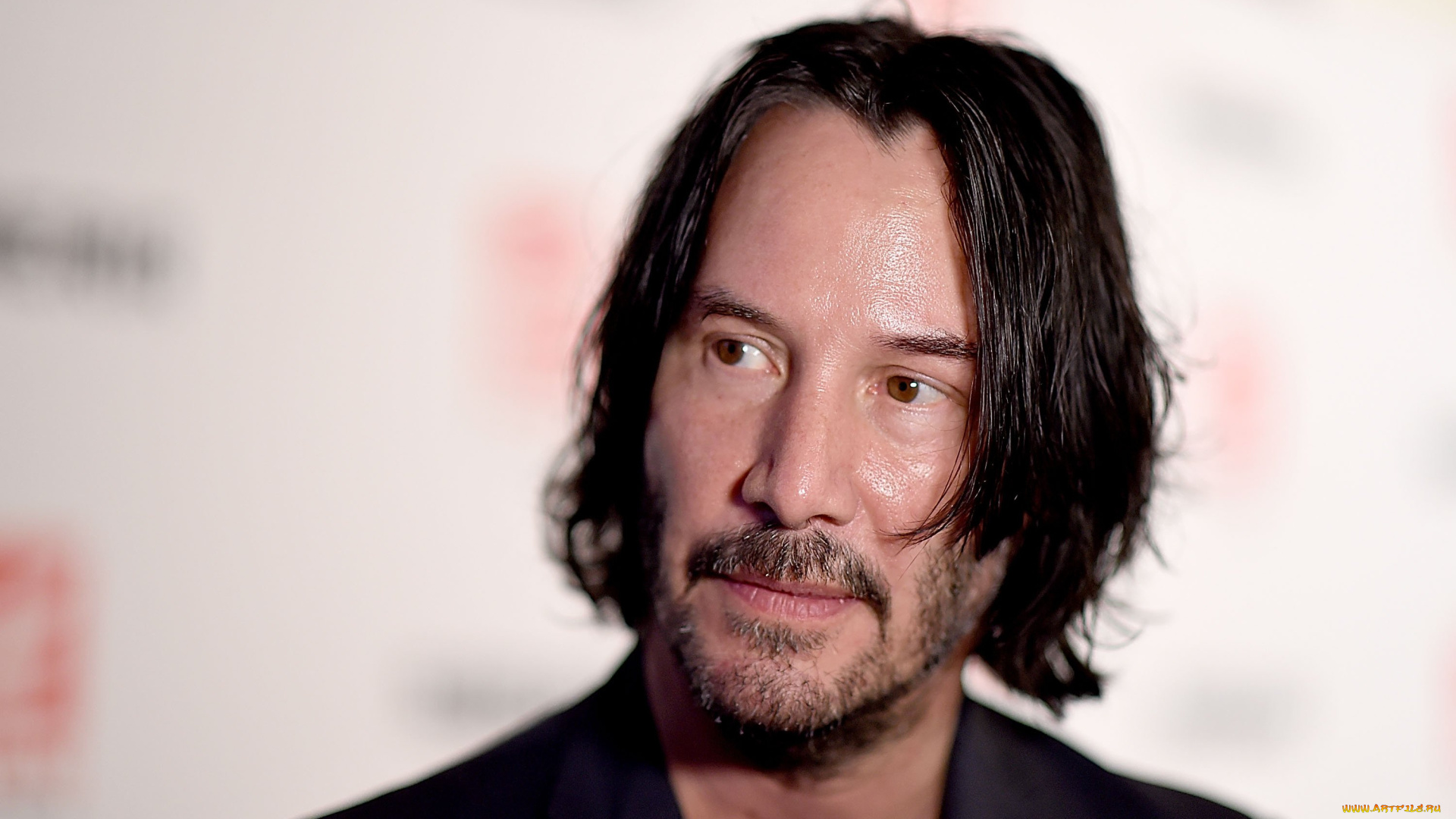 мужчины, keanu, reeves, актер, лицо, щетина