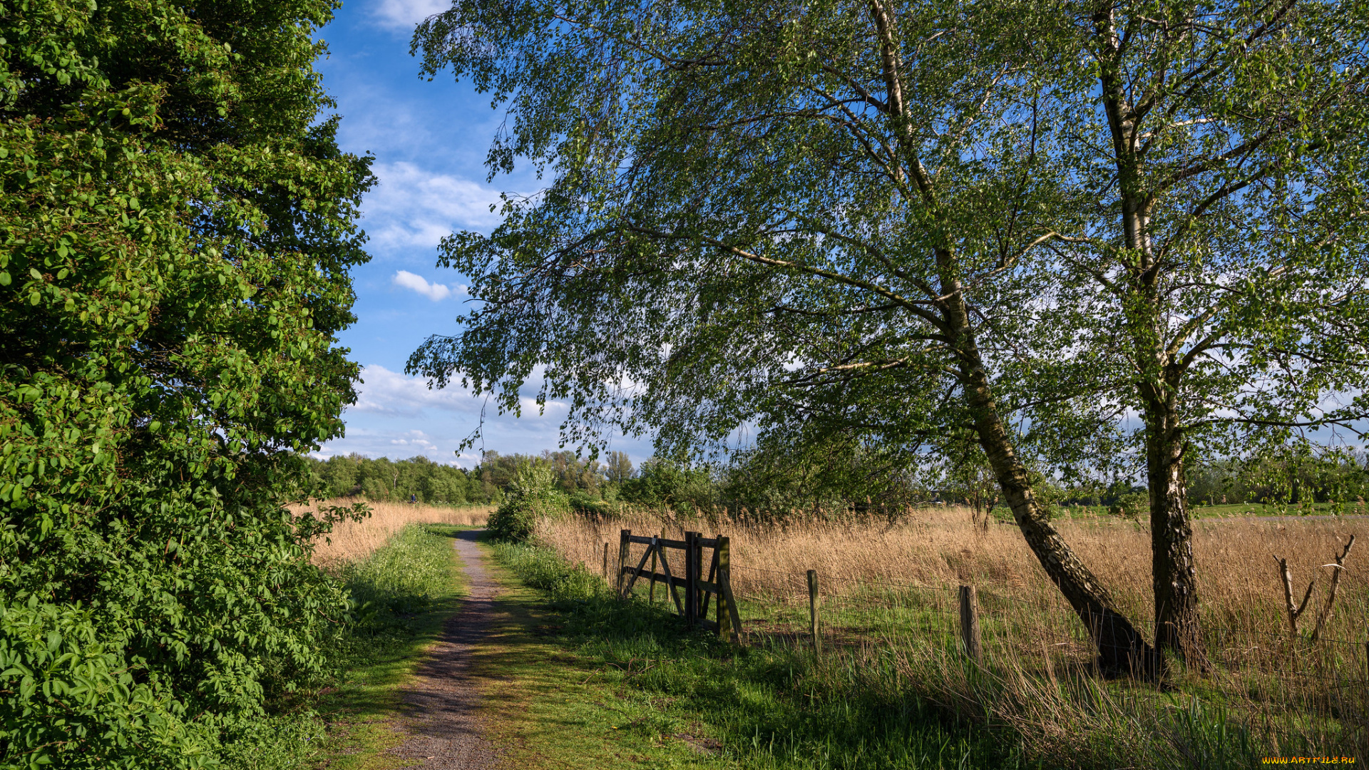 природа, дороги, простор