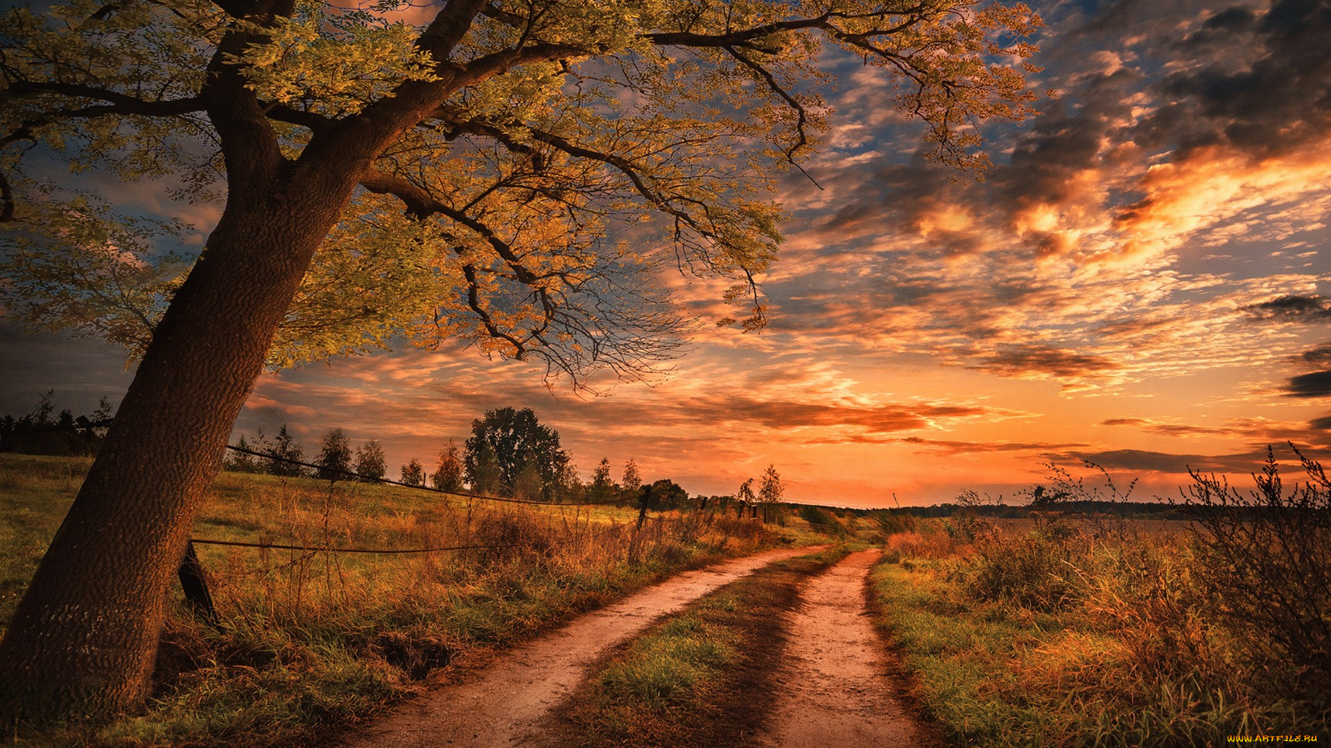 природа, дороги, простор