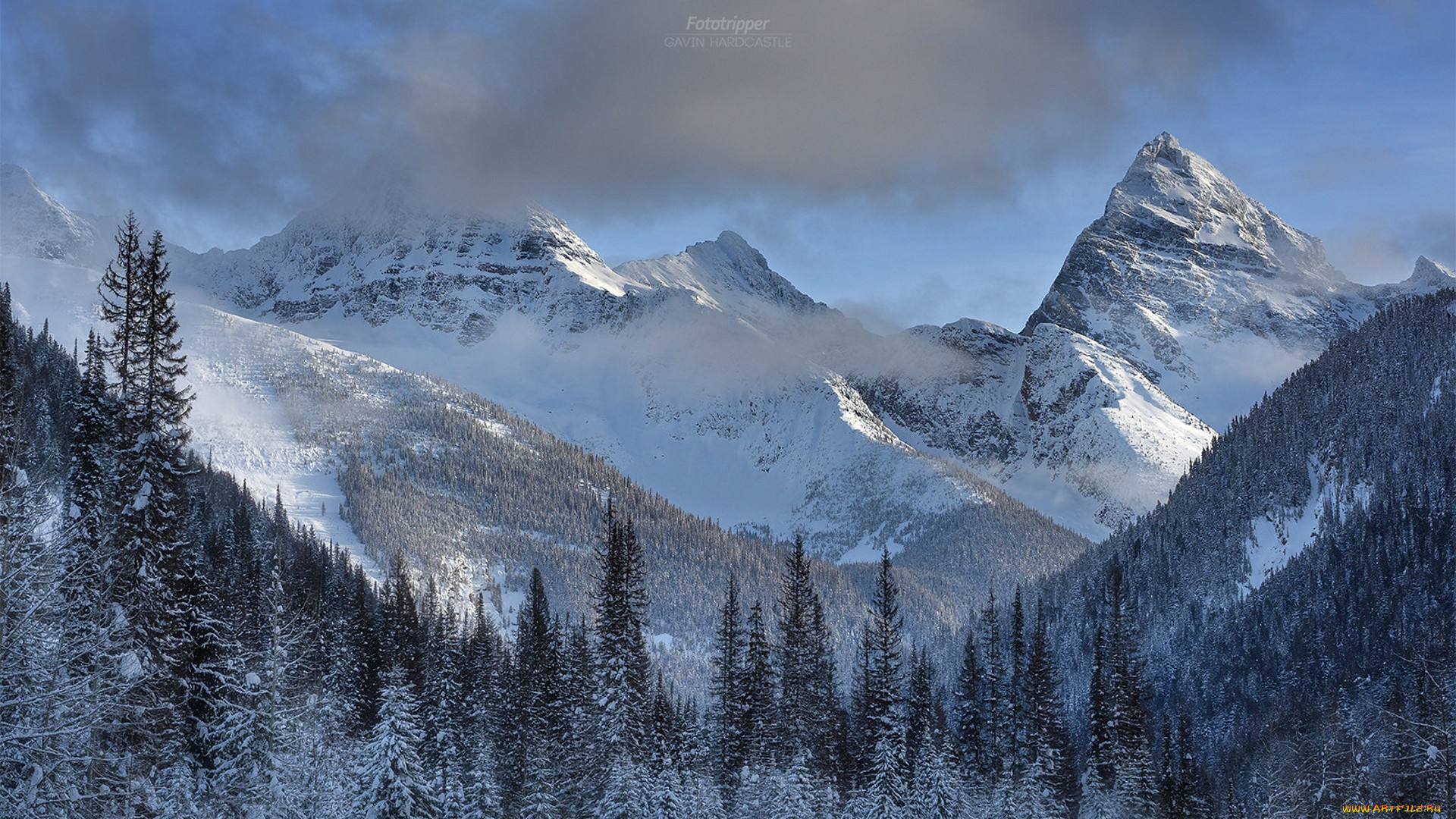 природа, горы, простор