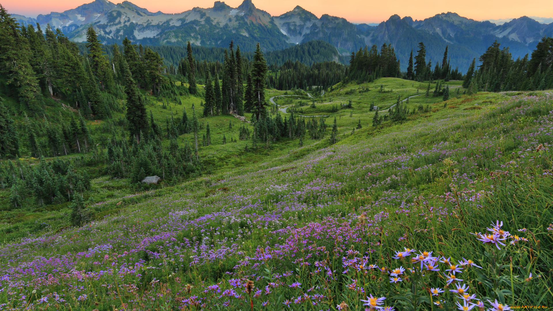 природа, пейзажи, простор