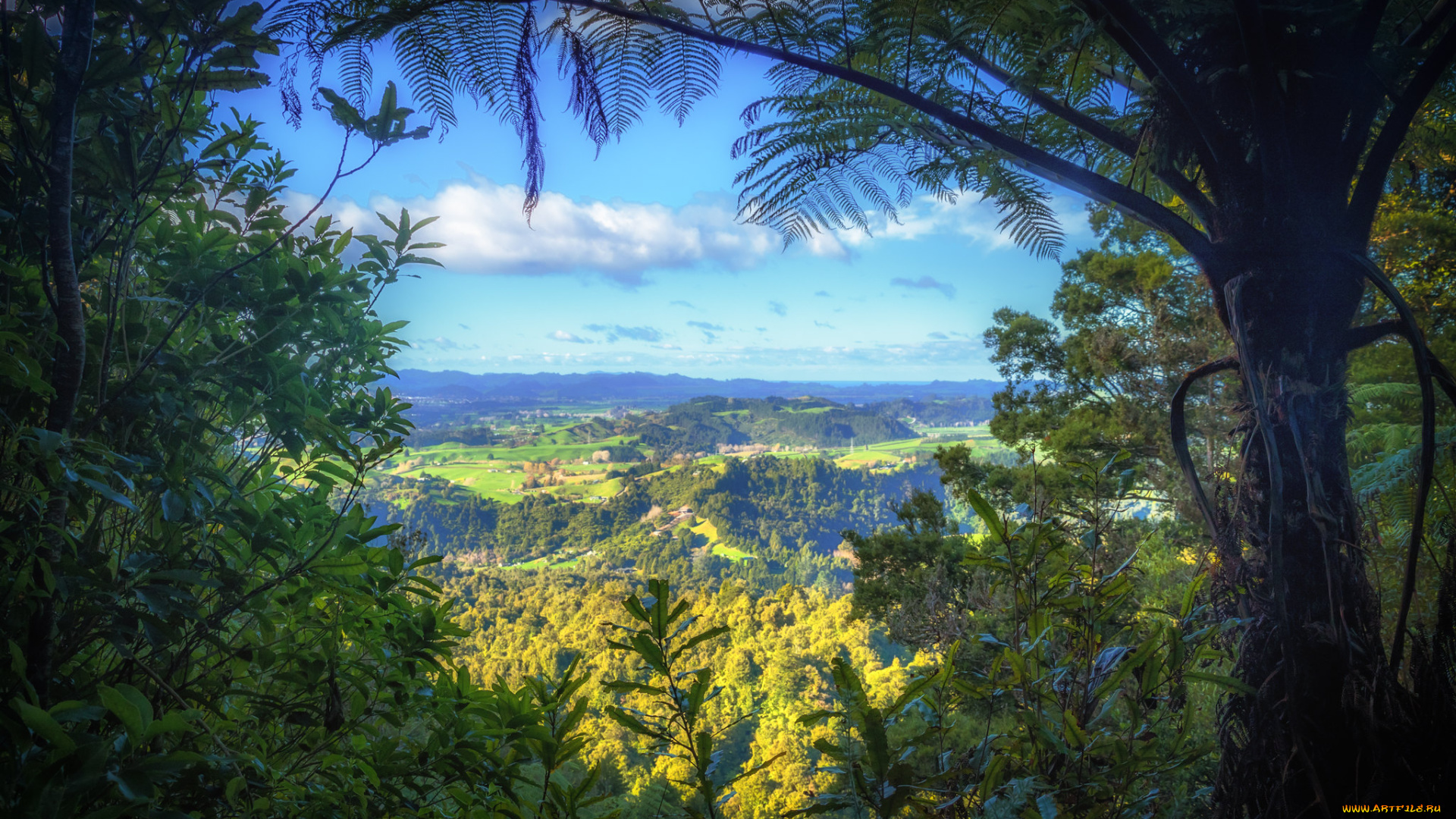 природа, пейзажи, простор