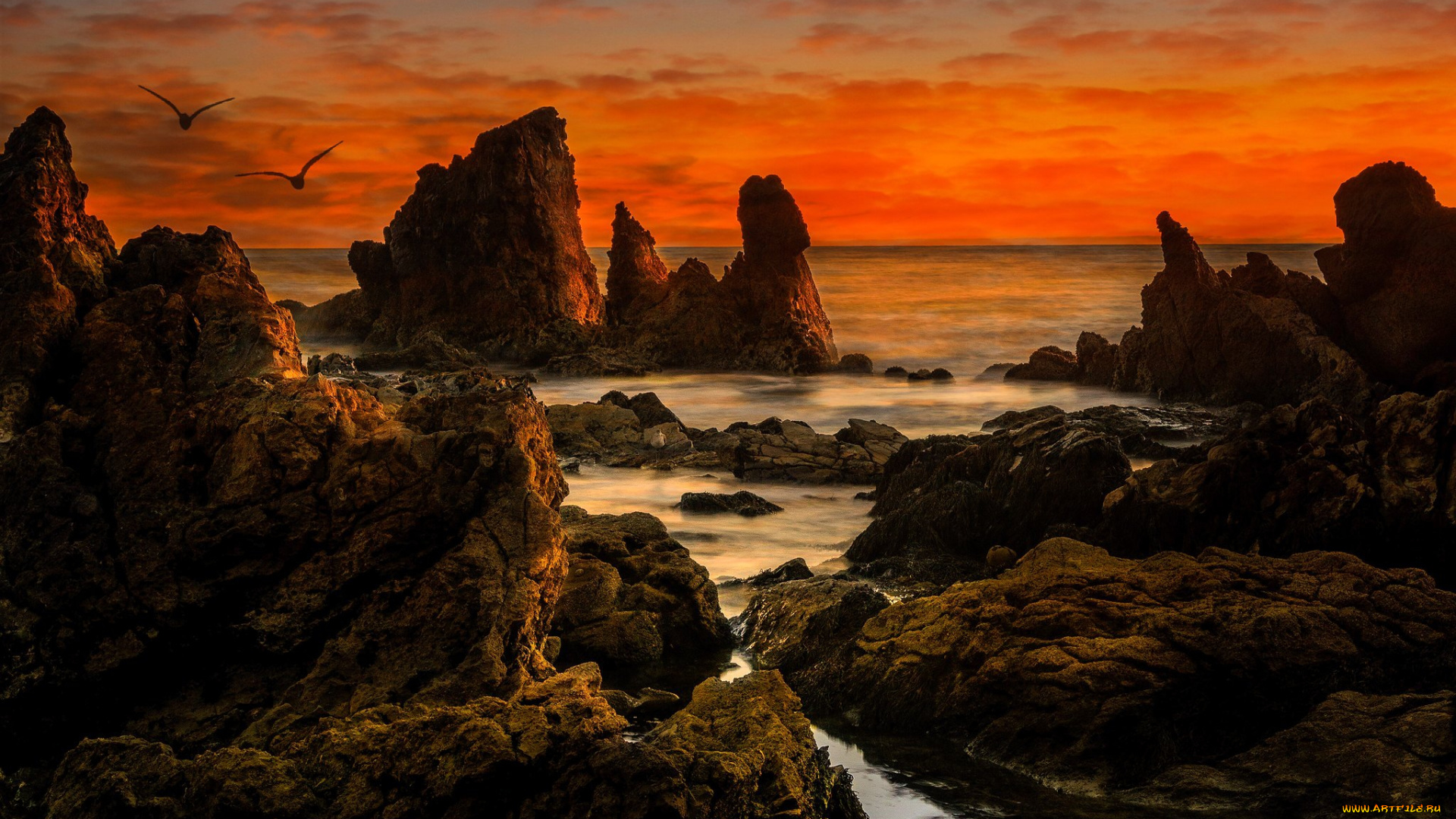 природа, побережье, простор