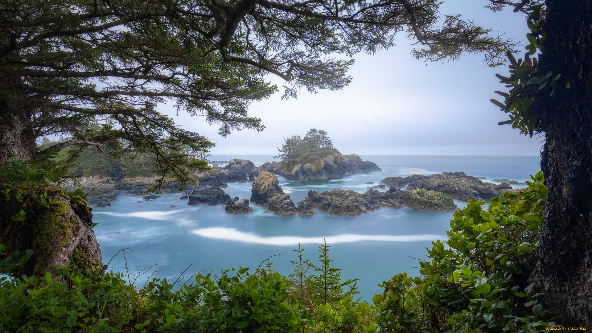 природа, побережье, простор