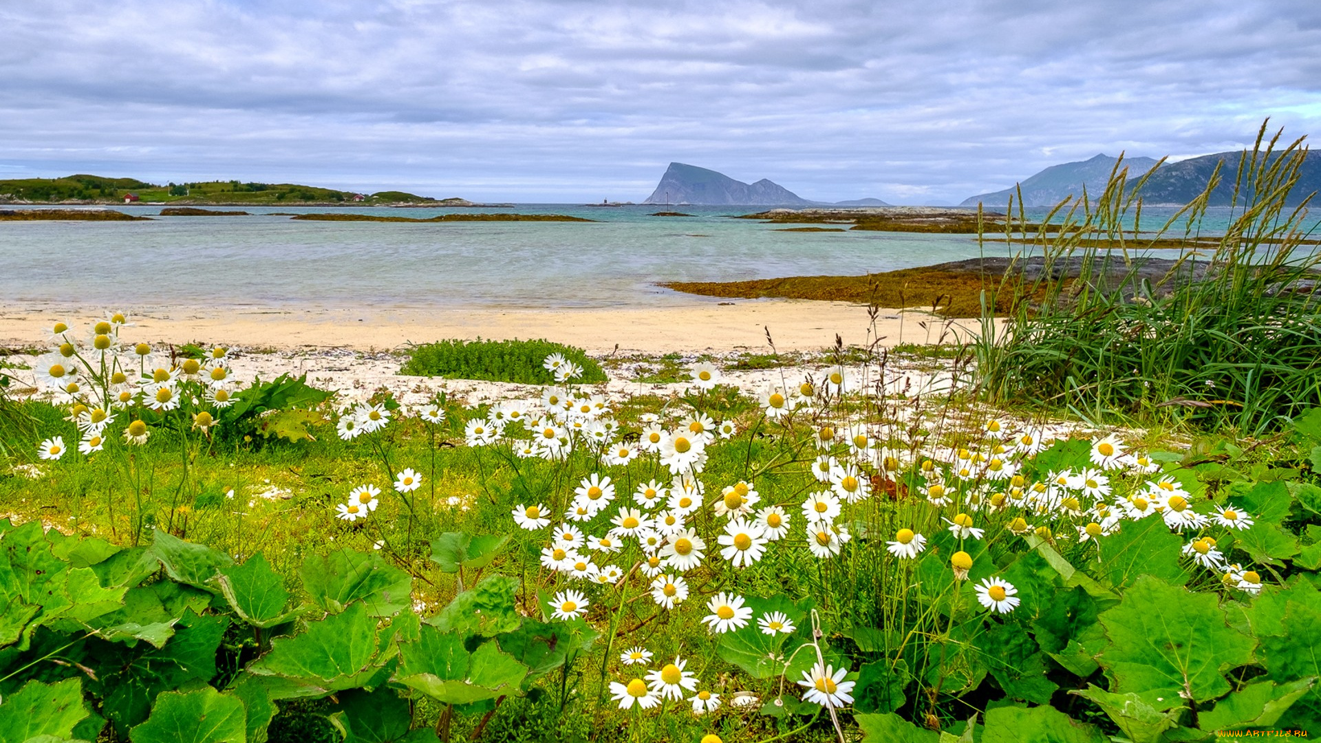 природа, реки, озера, простор