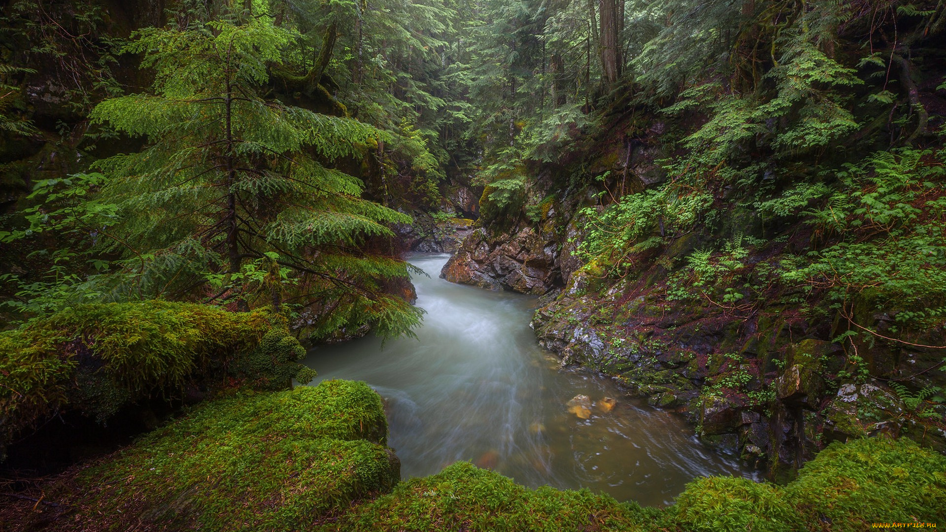 природа, реки, озера, простор