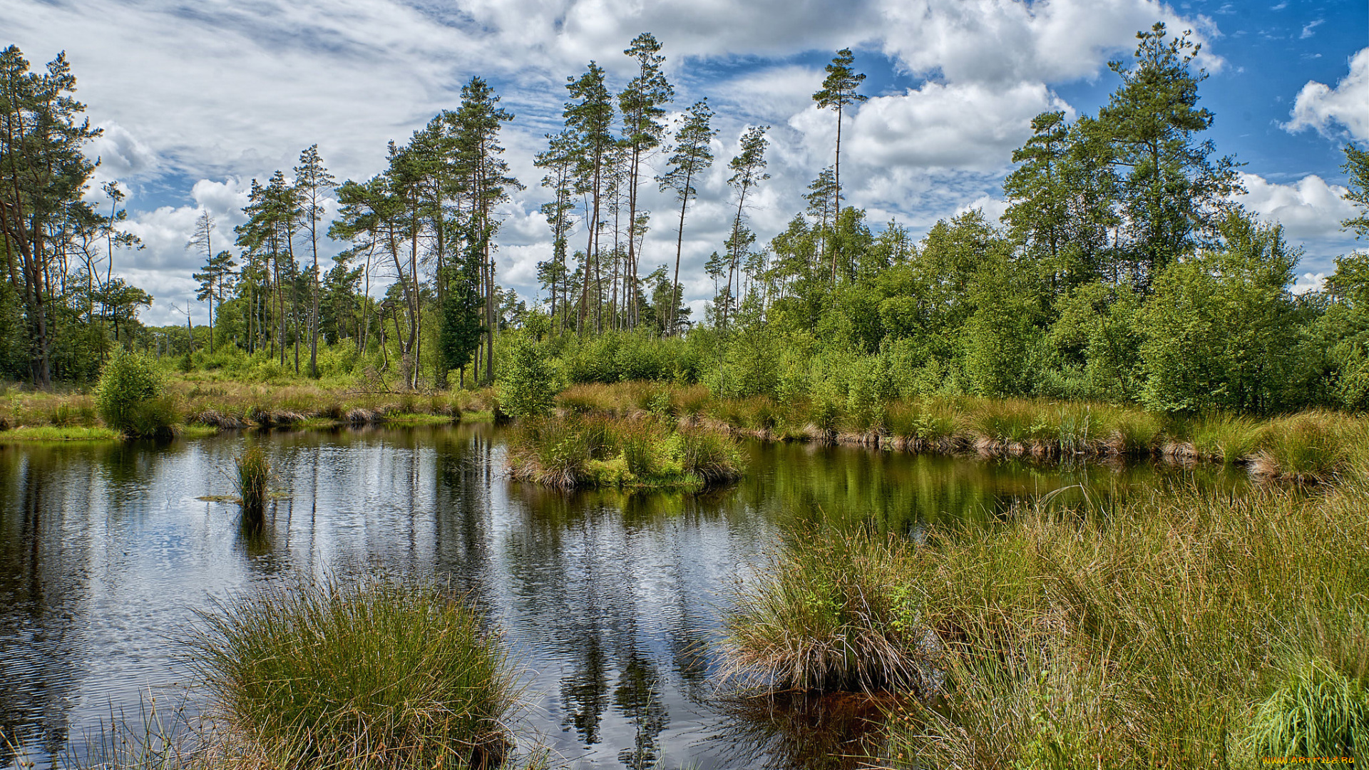 природа, реки, озера, простор